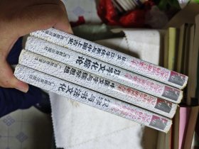 汉字研究新视野丛书4册精装品好：《汉字与书法文化》、《中国文字与儒学思想》、《汉字文化综论》、《说文汉字体系与中国上古史》