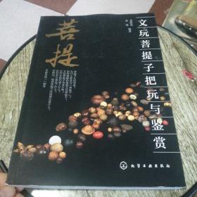 文玩菩提子把玩与鉴赏