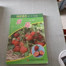 抱子甘蓝