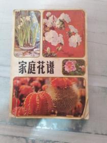 家庭画谱（书皮脏）