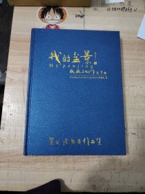 我的盆景收藏与创作 第1辑：吴成发盆景作品集