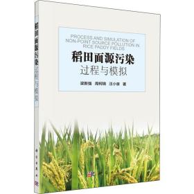 稻田面源污染过程与模拟