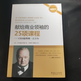 CEO温斯顿.丘吉尔：献给商业领袖的25项课程