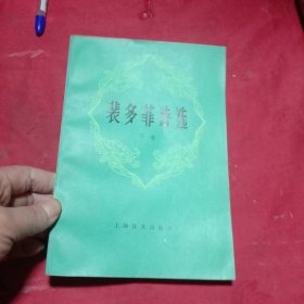 裴多菲诗选下