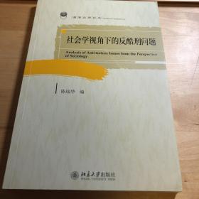 刑事法律论丛书：社会学视角下的反酷刑问题