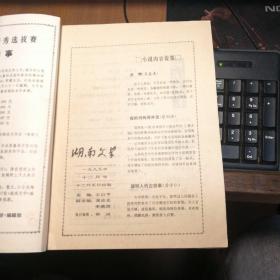湖南文学1989年第12期