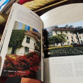 梧桐树后的老房子(1、2册合售)：上海徐汇历史建筑集锦