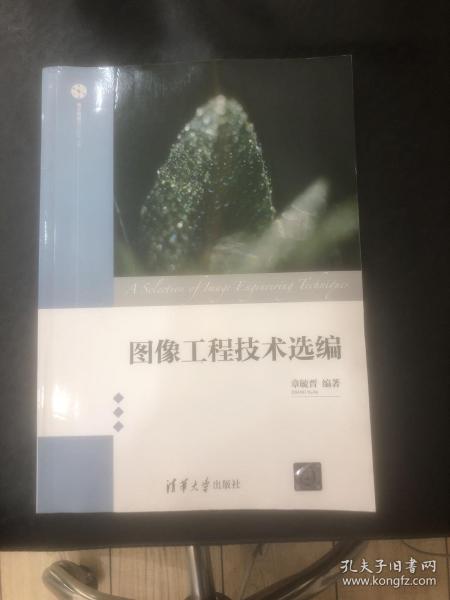 图像工程技术选编/电子信息前沿技术丛书