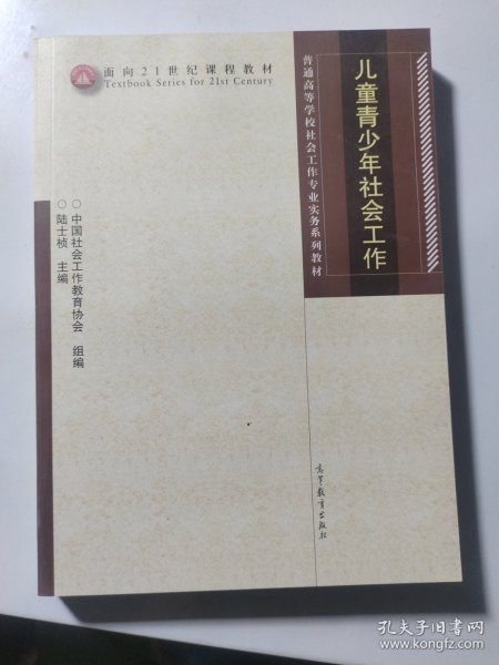 普通高等学校社会工作专业实务系列教材：儿童青少年社会工作