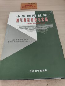 小型断陷盆地油气勘探理论与实践