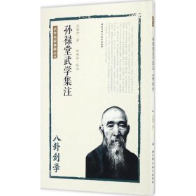 孙禄堂武学集注