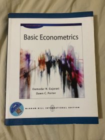 basic econometrics