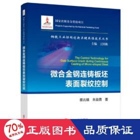 微合金钢连铸板坯表面裂纹控制/钢铁工业协同创新关键共性技术丛书