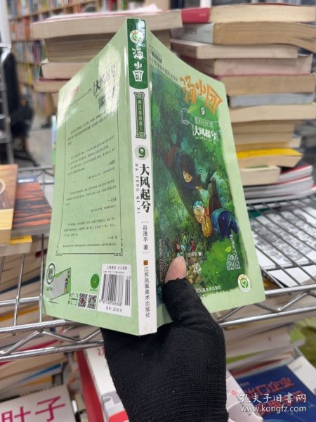 汤小团-大风起兮