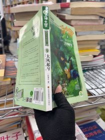 汤小团-大风起兮