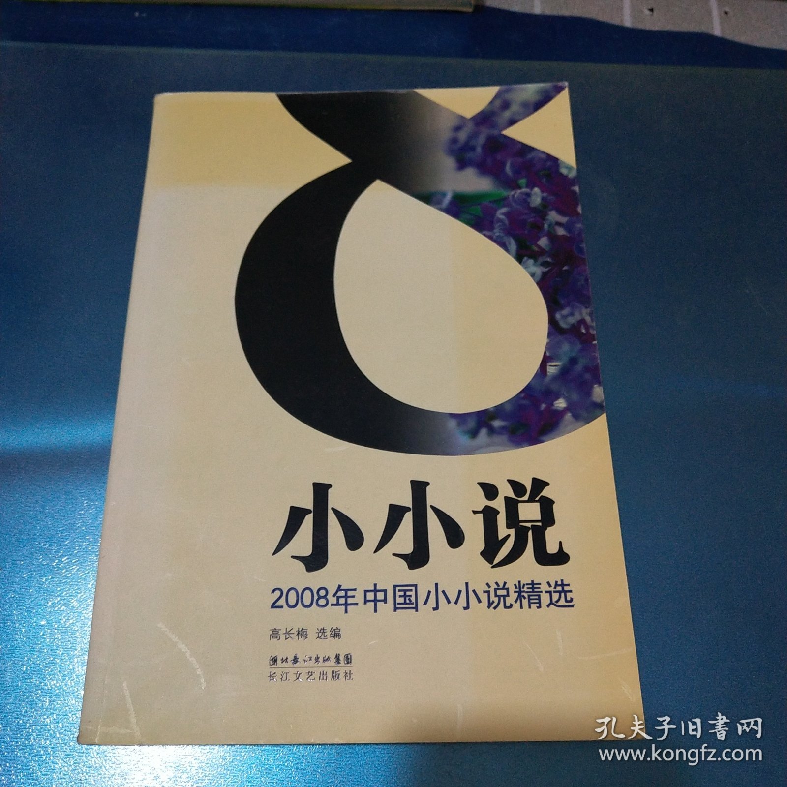 2008年中国小小说精选