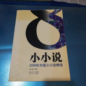 2008年中国小小说精选