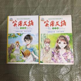 实用文摘 适合中学生阅读的期刊 2017年 2018年 2019年共20本 合售