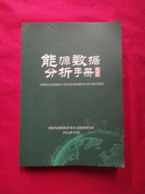 能源数据分析手册2024