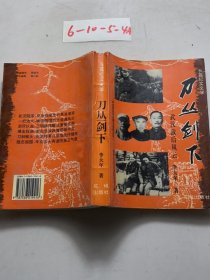 刀叢劍下:武漢敵后風(fēng)云