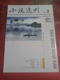 小说选刊 2011-3