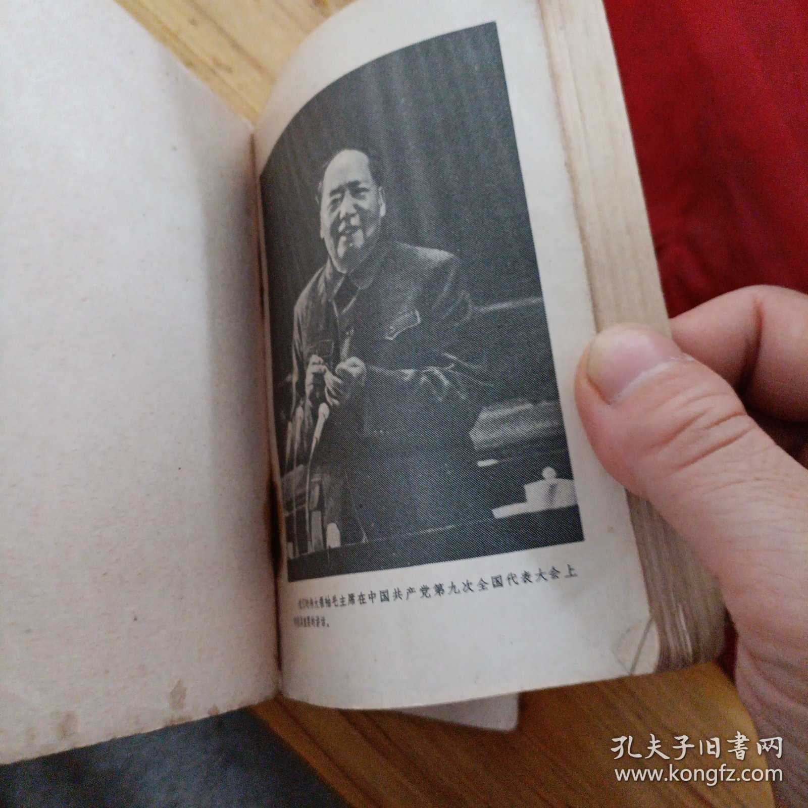 在中国共产党第九次全国代表大会上的报告