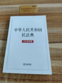中华人民共和国民法典（大字条旨版）2020年6月