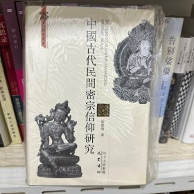 中国古代民间密宗信仰研究