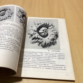 素描自学辅导