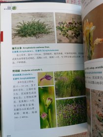 图览新疆野生植物 图览新疆野生动物（两本合售）