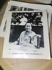 团结胜利的党的第十次全国代表大会万岁【黑白照 23张】