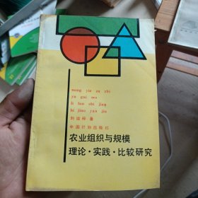 农业组织与规模 理论实践比较研究