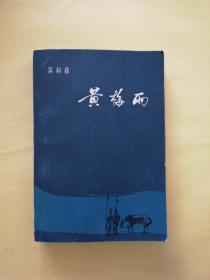 黄梅雨（施大畏插图本）