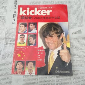 （踢球者）专访2002世界杯中文版