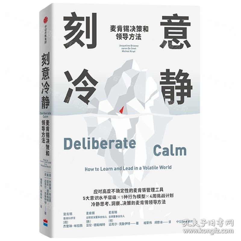 刻意冷静(麦肯锡决策和领导方法)