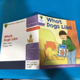 英文原版What Dogs Like