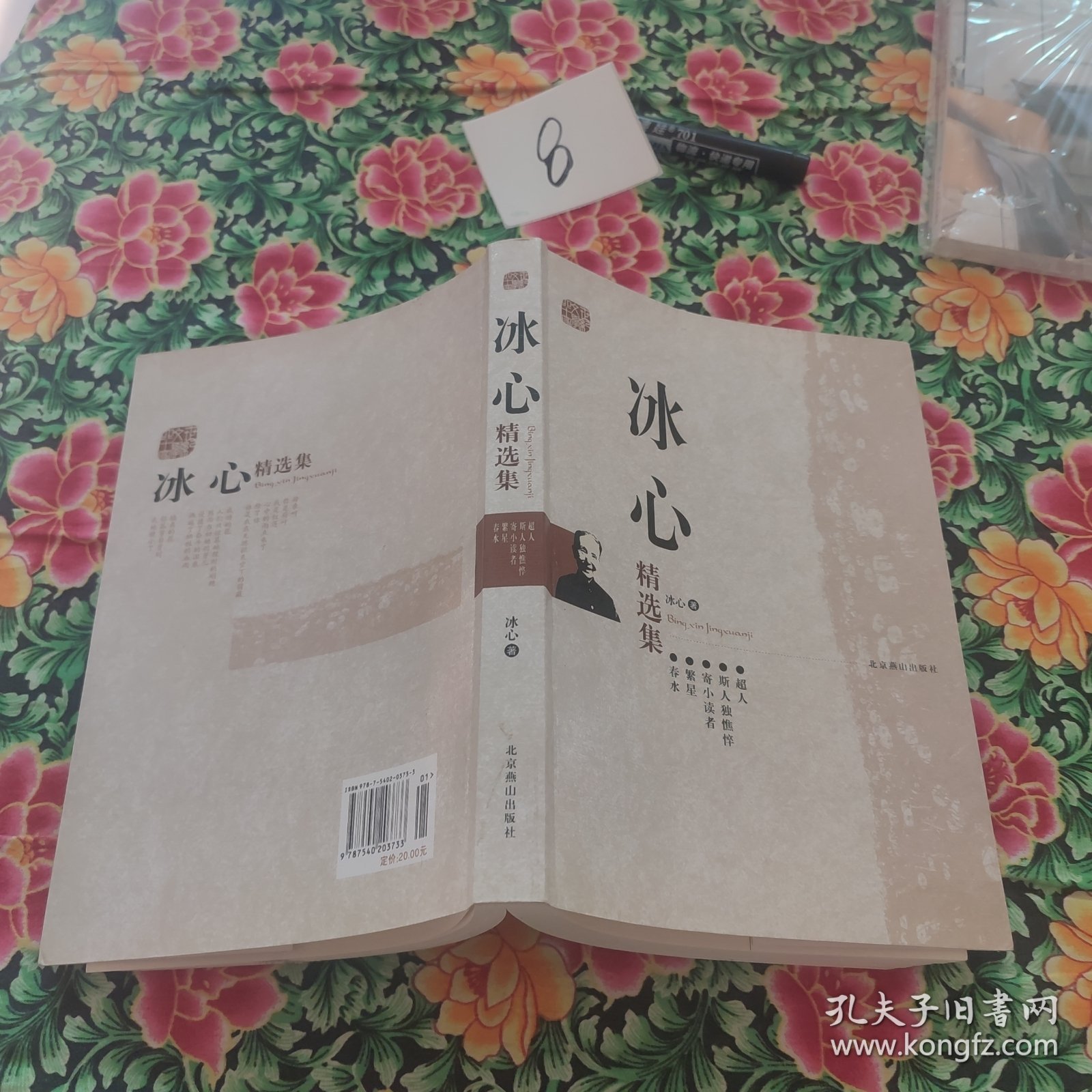 冰心精选集：世纪文学60家