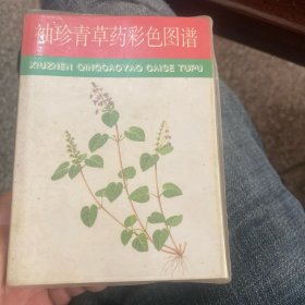 袖珍青草药彩色图谱