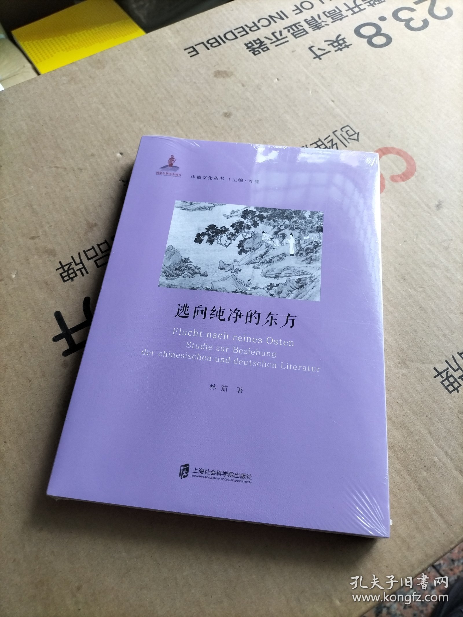 逃向纯净的东方