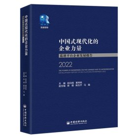 中国式现代化的企业力量：蓝迪平台企业发展报告2022