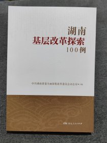 湖南基层改革探索100例