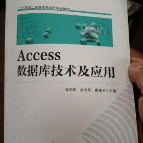 Access 数据库技术及应用