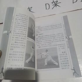 李雅轩杨氏太极剑刀精解