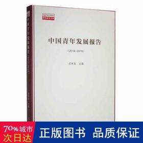 中国青年发展报告(2018-2019) 社会科学总论、学术 邓希泉主编 新华正版