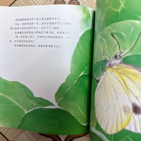 最美的法布尔昆虫记：变身魔术师菜粉蝶