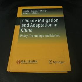 Climate Mitigation and Adaptation in China--Policy, Technology and Market