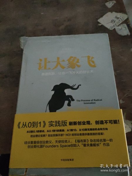 让大象飞:激进创新，让你一飞冲天的创业术