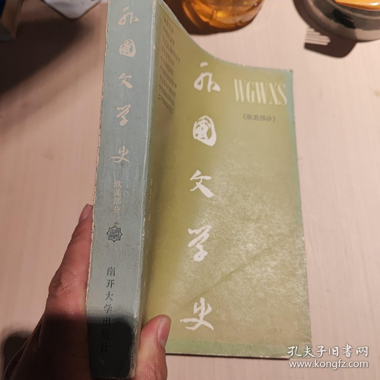 外国文学史（欧美部分）