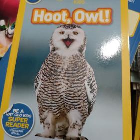 Hoot, Owl!