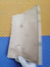 菊花写生资料